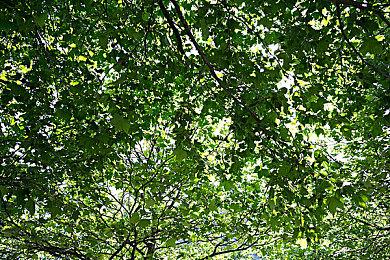 无双组狩猎游戏《Wild Hearts》28分钟试玩视频