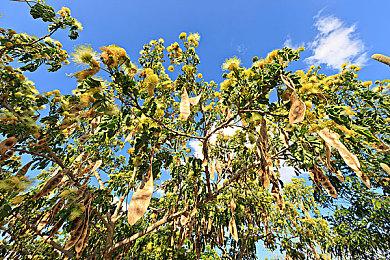 《死亡搁浅2》将提供画质与性能双模式选择